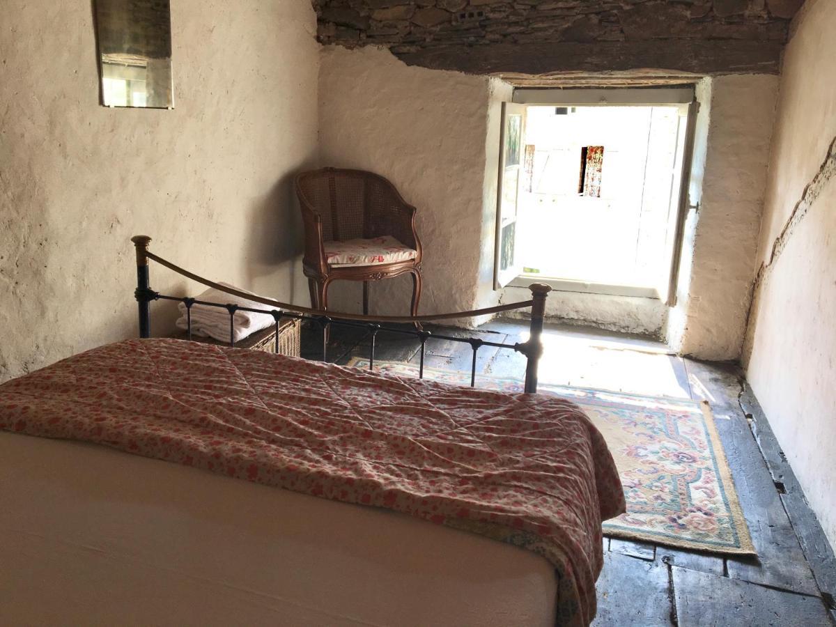 La Maison Sur La Riviere Vabre Eksteriør bilde