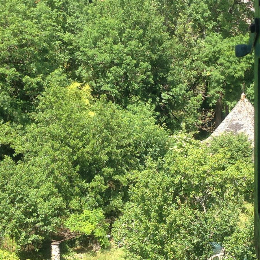 La Maison Sur La Riviere Vabre Eksteriør bilde